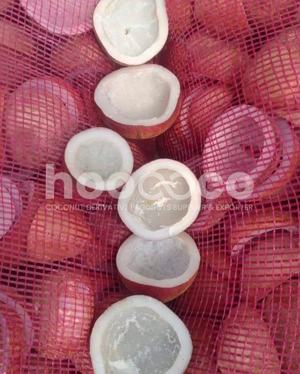 watermark hoococo (21)