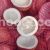 watermark hoococo (21)